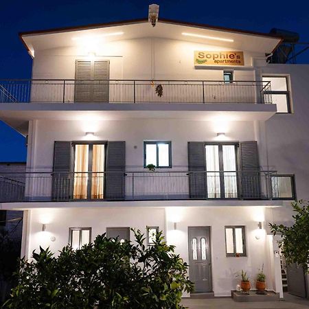 Sophie'S Apartments 3&4 Poros Town Exterior foto